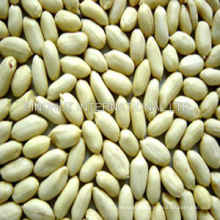 New Crop Blanched Peanut Kernel